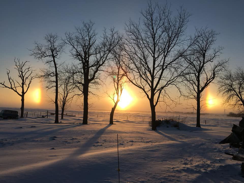 -29 degrees | Jan. 30, 2019